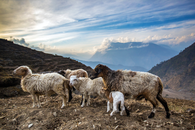 Загадочный народ Непала — фотогалерея в лицах