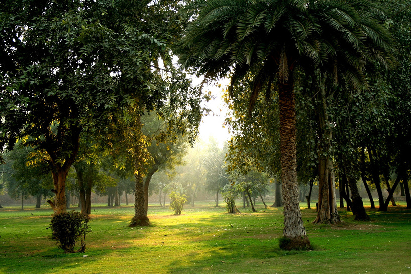 11 причин посетить второй по величине город Индии — Дели