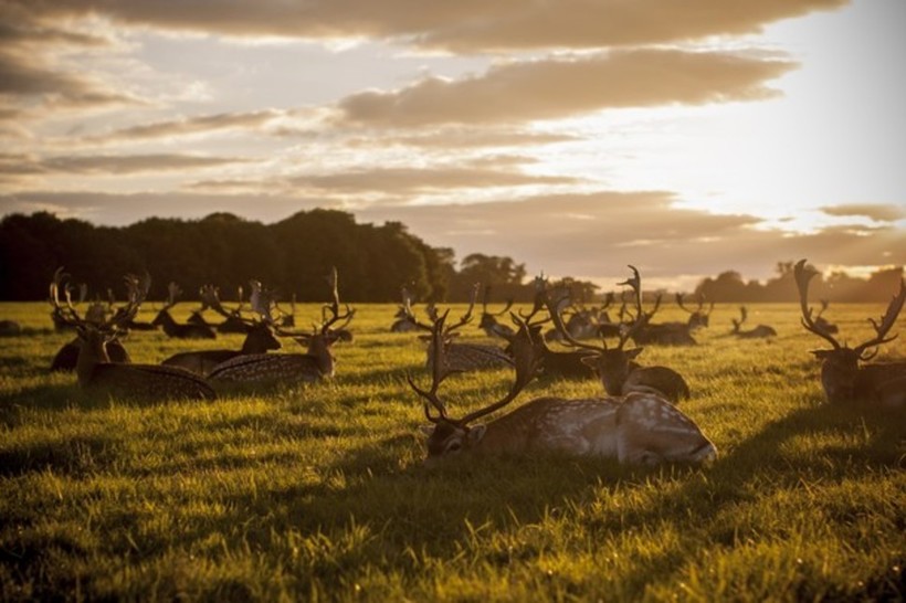 20 cнимков National Geographic, после которых единственным твоим желанием будет путешествовать