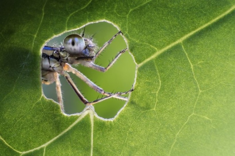 20 cнимков National Geographic, после которых единственным твоим желанием будет путешествовать