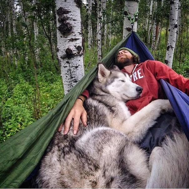 Блог - 20 чудных снимков из Instagram, которые вдохновят вас отправиться в поход со своей собакой 20 чудных снимков из Instagram, которые вдохновят вас отправиться в поход со своей собакой