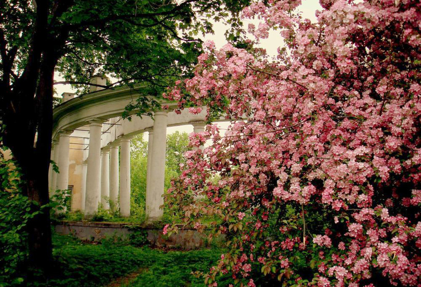 Пехра-Яковлевское