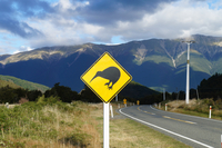 Как видят мир в Новой Зеландии