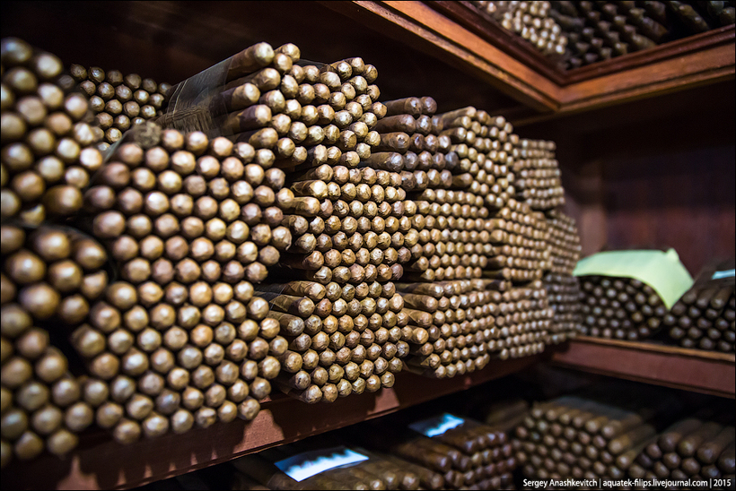 Как делают сигары в Доминикане?