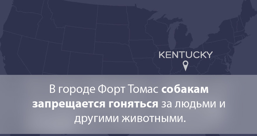 Блог - 20 самых дурацких и странных законов США 20 самых дурацких и странных законов США