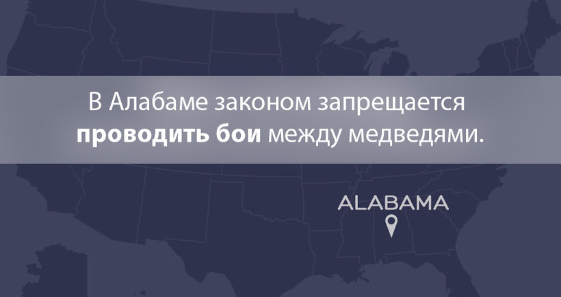 Блог - 20 самых дурацких и странных законов США 20 самых дурацких и странных законов США