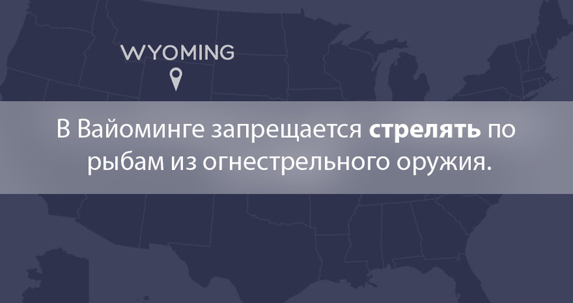 Блог - 20 самых дурацких и странных законов США 20 самых дурацких и странных законов США