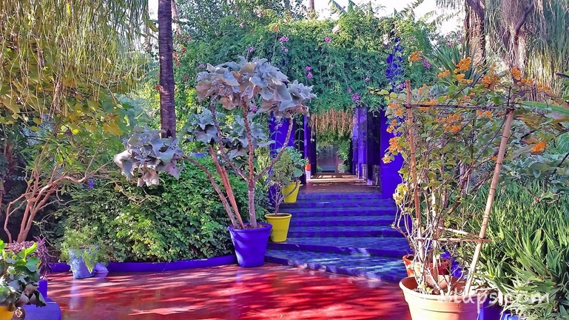 10 сказочных садов и парков, где нужно побывать весной 