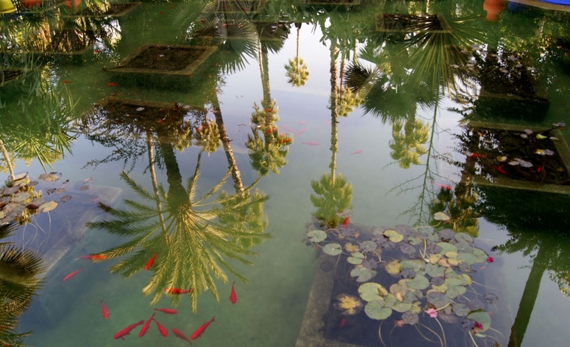 10 сказочных садов и парков, где нужно побывать весной 