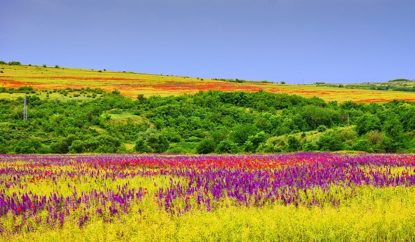 21 место в мире, которое создано для весны