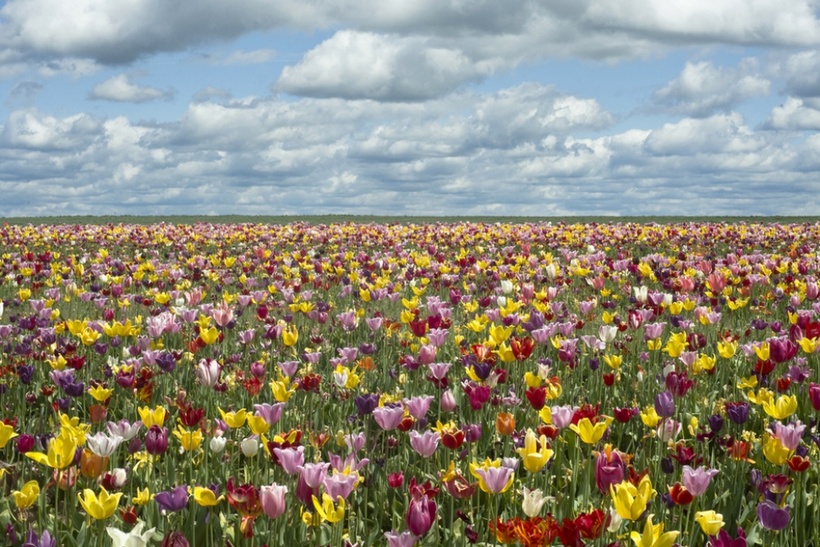 21 место в мире, которое создано для весны