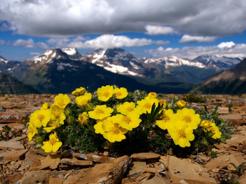21 место в мире, которое создано для весны