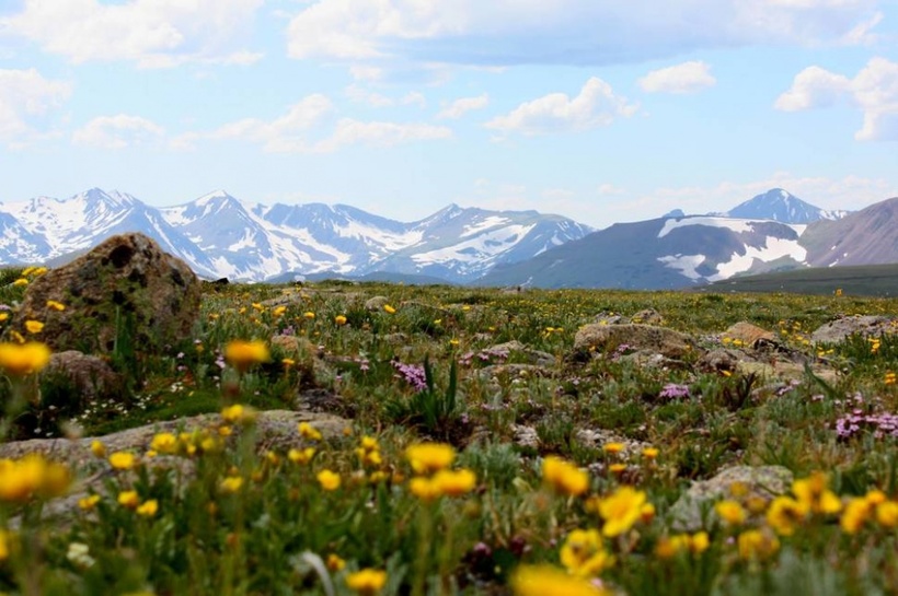 21 место в мире, которое создано для весны