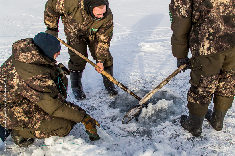 Блог - Борьба с браконьерами на Байкале Борьба с браконьерами на Байкале
