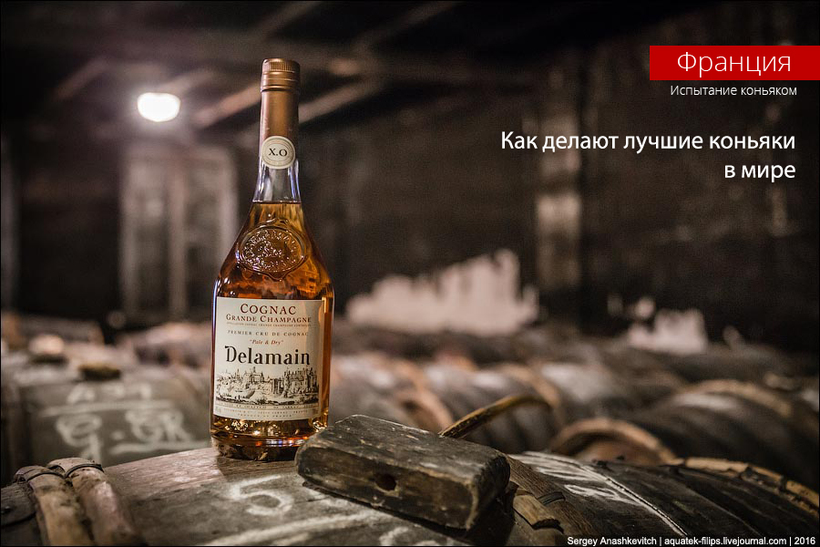Блог - Как делают лучшие коньяки в мире Как делают лучшие коньяки в мире