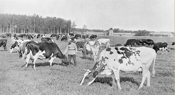 Блог - 20 драматических фото коллективизации 30-40-х годов в СССР, которые стоит увидеть 20 драматических фото коллективизации 30-40-х годов в СССР, которые стоит увидеть