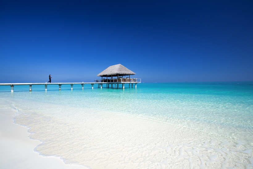 Блог - Гастрономические удовольствия в Velassaru Maldives Гастрономические удовольствия в Velassaru Maldives