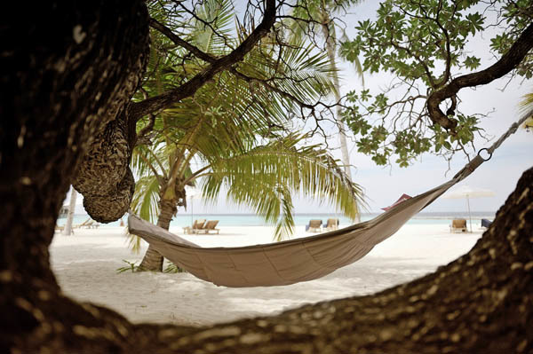 Блог - Резорт Maafushivaru Maldives — незабываемые приключения и великолепный отдых, которые покорят ваше сердце Резорт Maafushivaru Maldives — незабываемые приключения и великолепный отдых, которые покорят ваше сердце