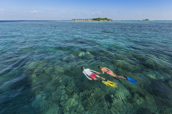 Блог - Резорт Maafushivaru Maldives — незабываемые приключения и великолепный отдых, которые покорят ваше сердце Резорт Maafushivaru Maldives — незабываемые приключения и великолепный отдых, которые покорят ваше сердце