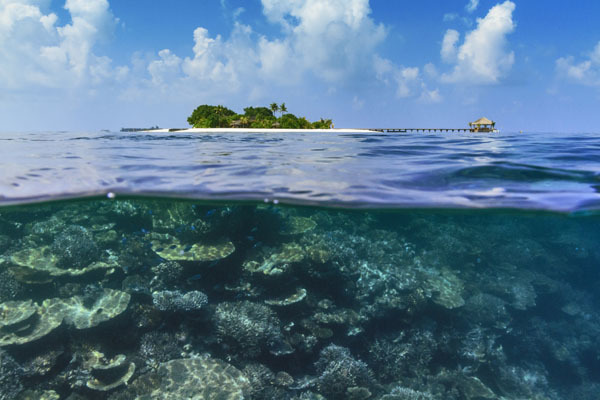 Блог - Резорт Maafushivaru Maldives — незабываемые приключения и великолепный отдых, которые покорят ваше сердце Резорт Maafushivaru Maldives — незабываемые приключения и великолепный отдых, которые покорят ваше сердце
