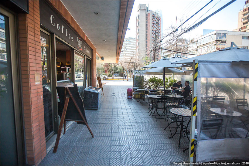 Хотели бы так жить? Квартира русского эмигранта в Чили