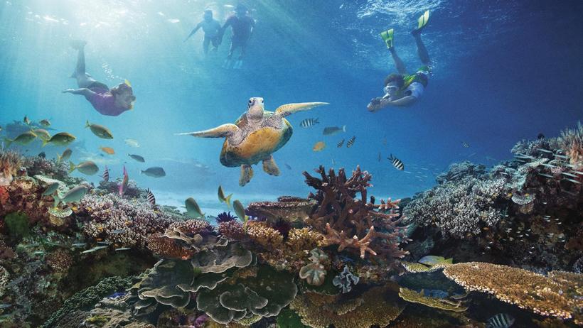 Блог - Самое большое море Самое большое море