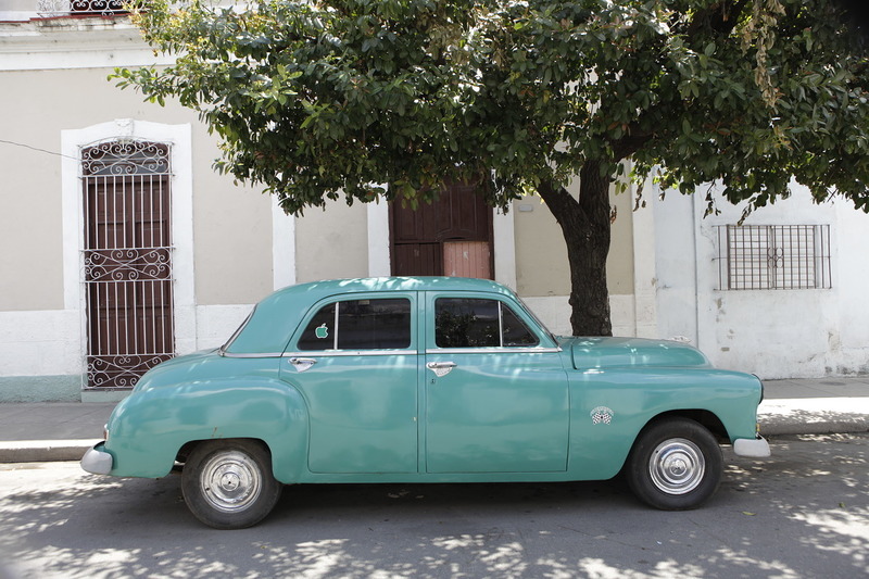 Яркие краски Тринидада