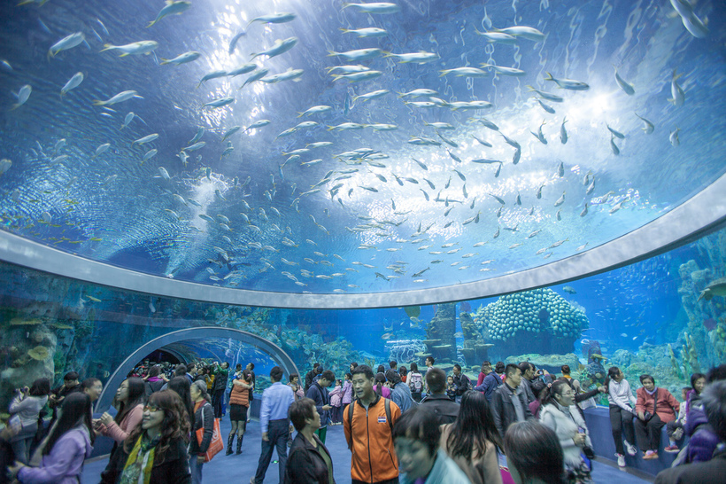 Посмотрите на самый большой аквариум на планете