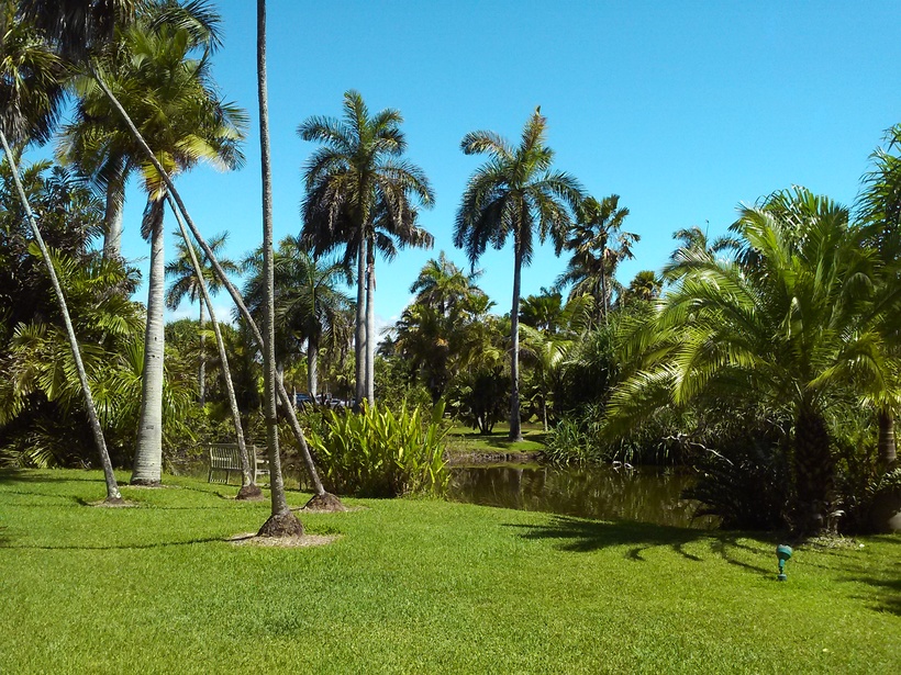 Fairchild Tropical Botanic Garden