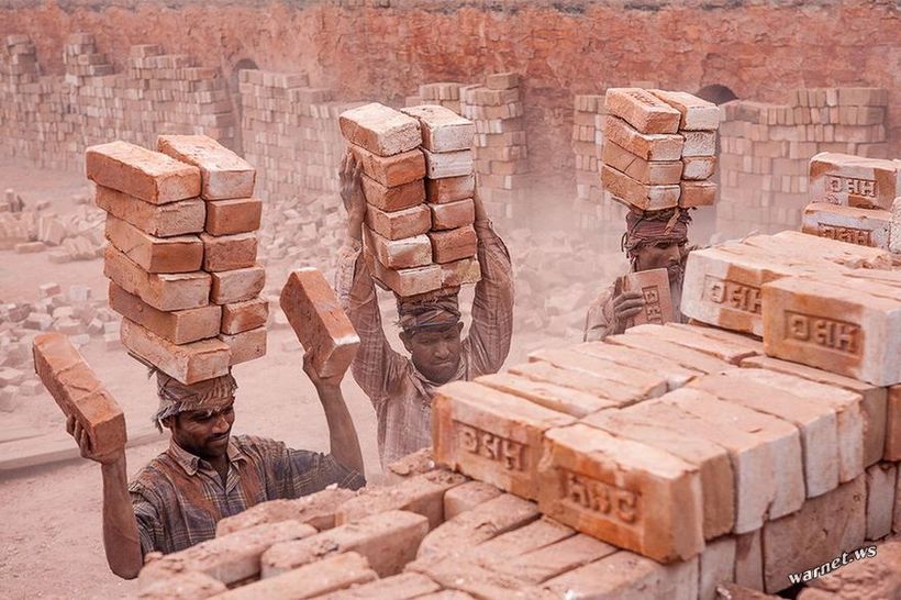 Блог - 20 самых опасных профессий из разных стран мира 20 самых опасных профессий из разных стран мира