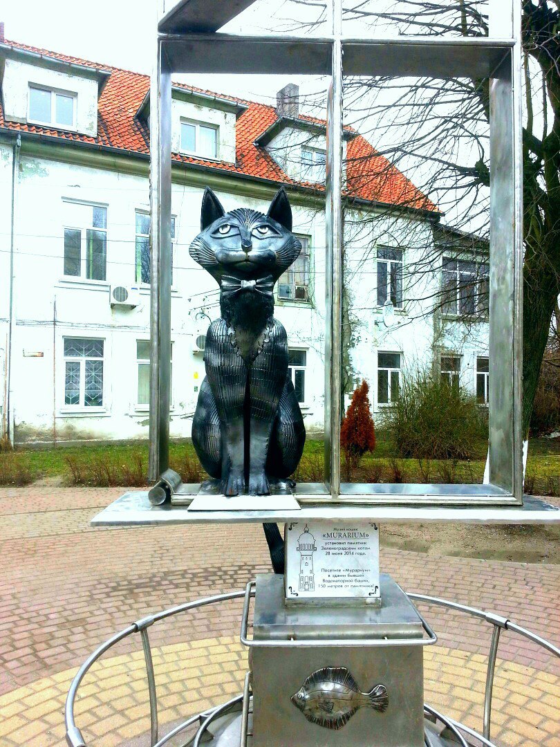 Кошачья карусель