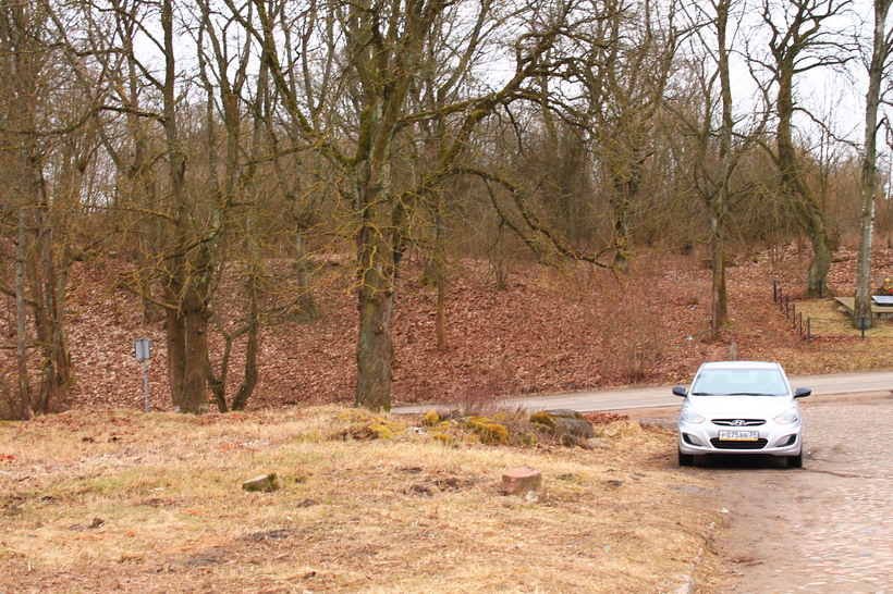 Мой арендованный конь