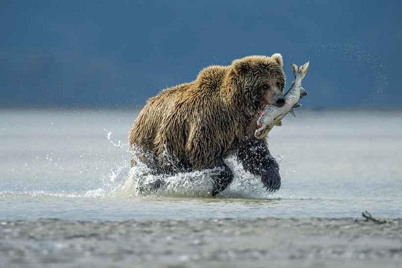 Блог - Самые блестящие таланты конкурса Outdoor Photographer, которые точно заслужили победы Самые блестящие таланты конкурса Outdoor Photographer, которые точно заслужили победы