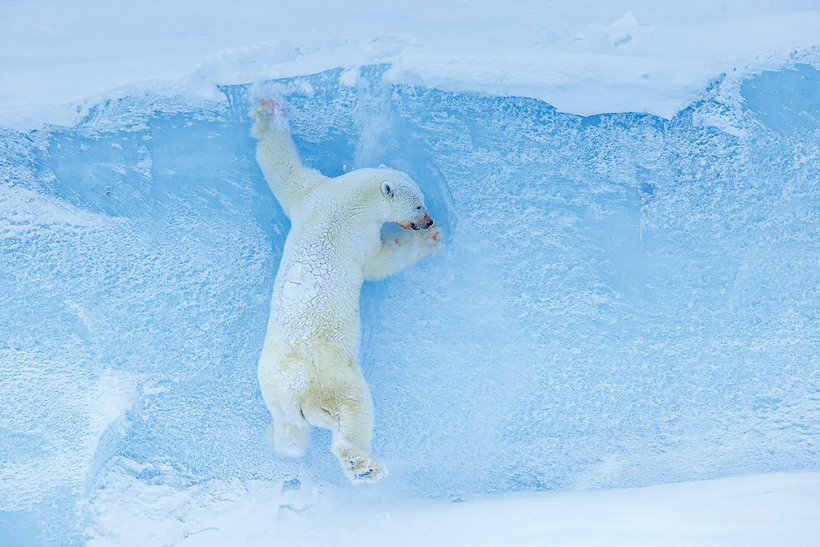 Блог - Самые блестящие таланты конкурса Outdoor Photographer, которые точно заслужили победы Самые блестящие таланты конкурса Outdoor Photographer, которые точно заслужили победы