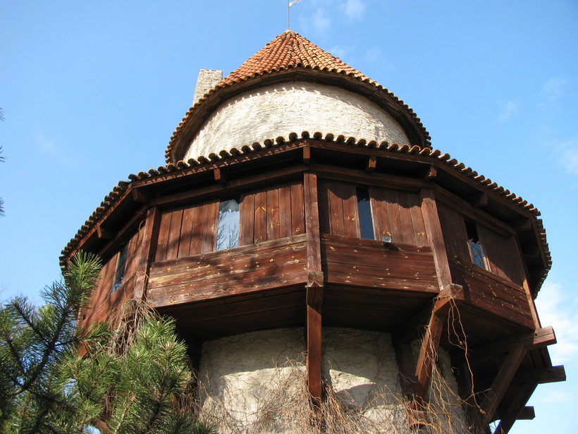 Точно башня Рапунцель: самый маленький замок