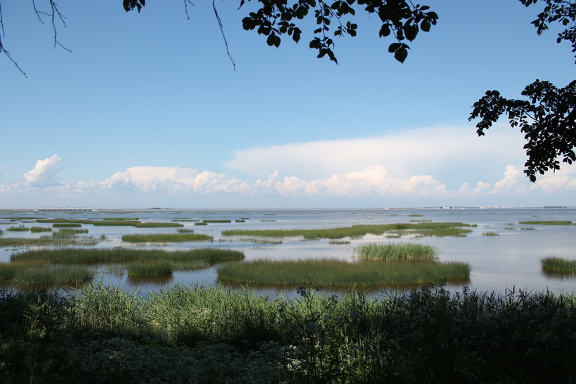 Морской вид в Кронштадте