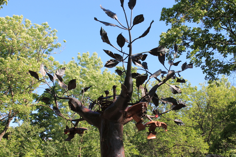 Дерево желаний