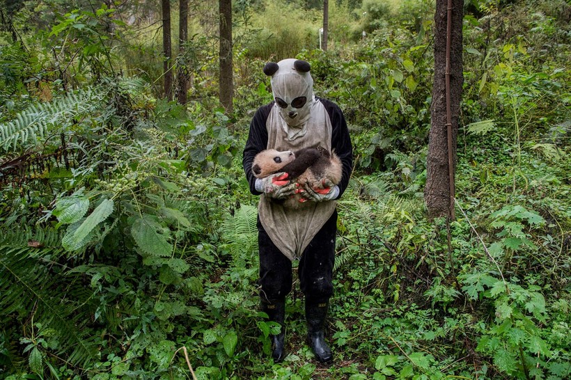 Блог - 20 самых сильных снимков финалистов конкурса Sony World Photography Awards 2017 20 самых сильных снимков финалистов конкурса Sony World Photography Awards 2017