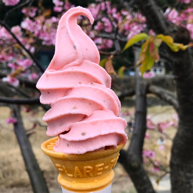 20 завораживающих фото из японского Инстаграма о том, что весна пришла! 