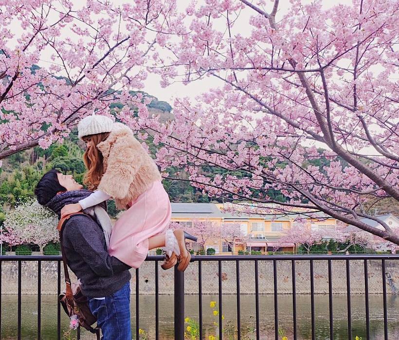 20 завораживающих фото из японского Инстаграма о том, что весна пришла! 