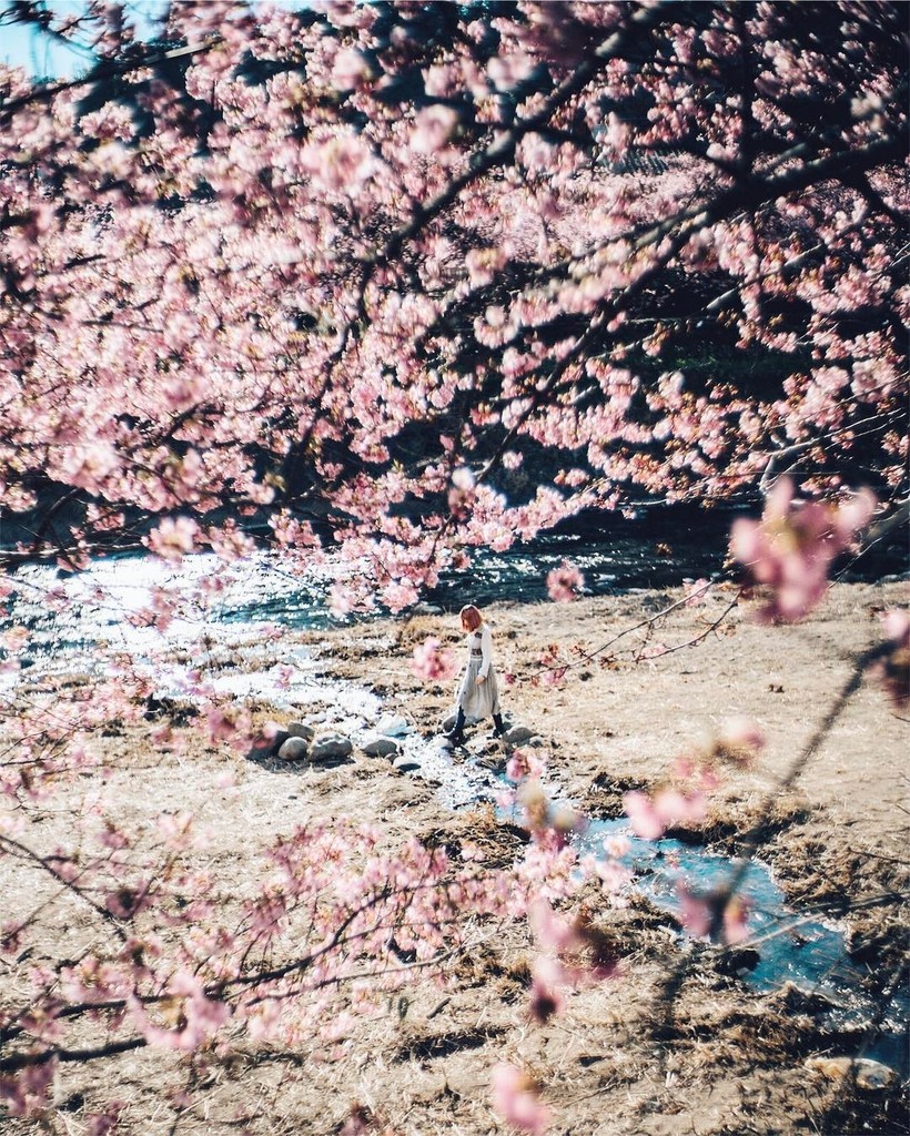20 завораживающих фото из японского Инстаграма о том, что весна пришла! 