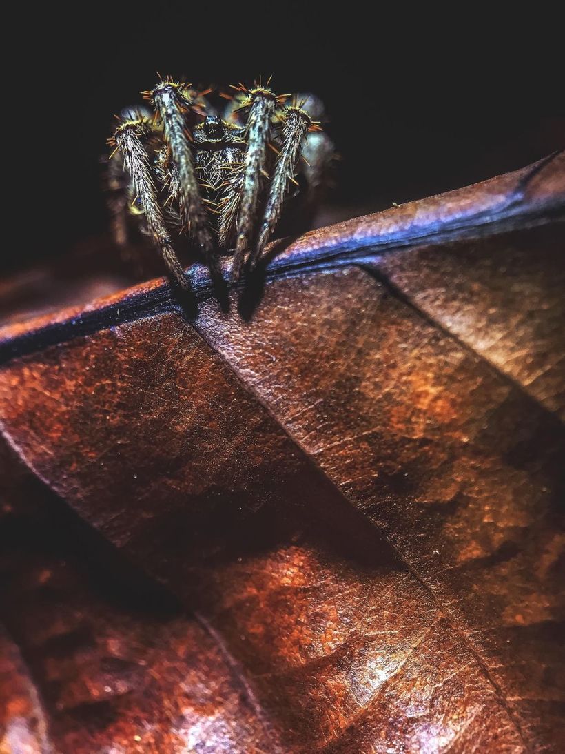Блог - 21 незабываемое фото с конкурса Mobile Photography Awards 2016 года 21 незабываемое фото с конкурса Mobile Photography Awards 2016 года