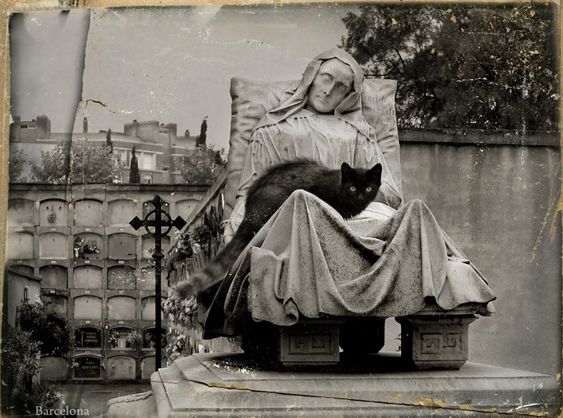 Коллекция кладбищ мира