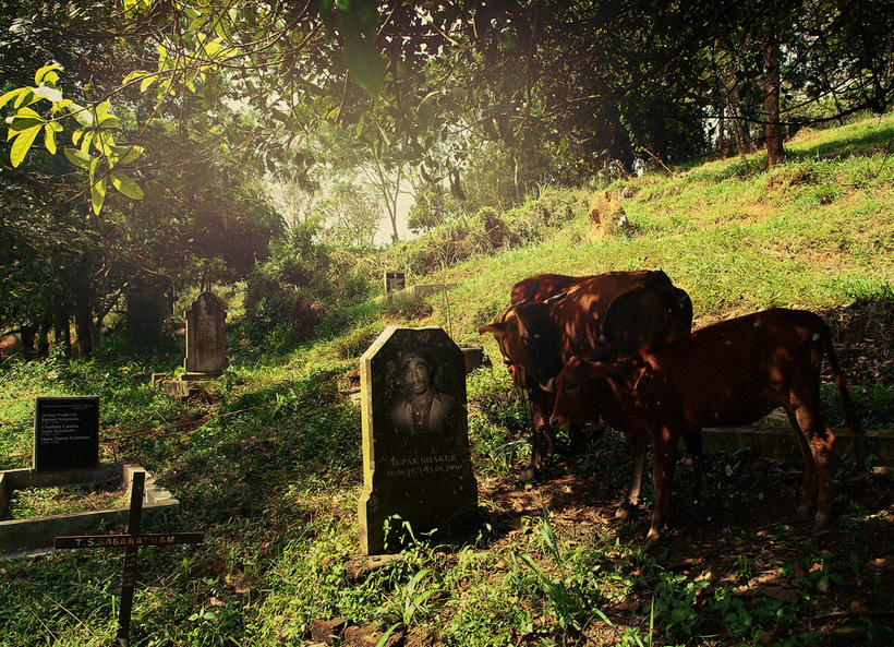 Коллекция кладбищ мира