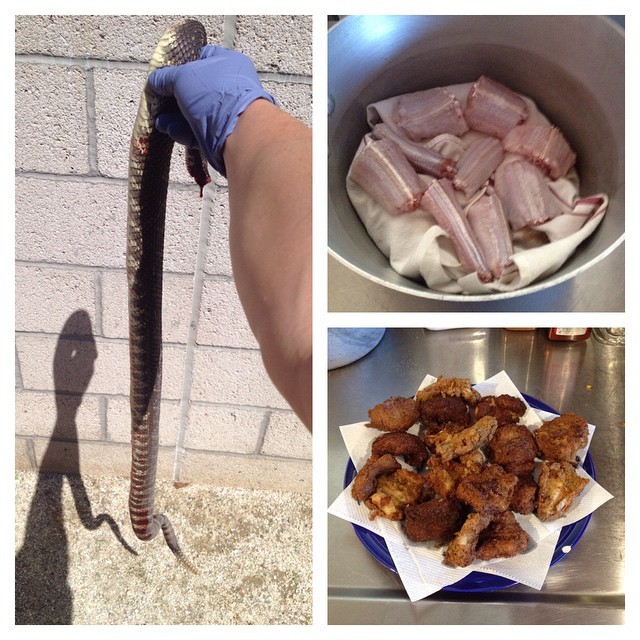 14 абсолютно безумных блюд США, при виде которых аппетит пропадает навсегда