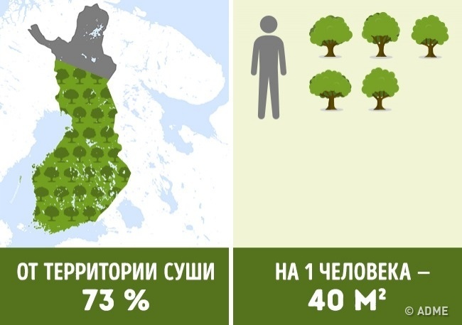 Блог - Сколько деревьев приходится на душу населения в разных странах мира Сколько деревьев приходится на душу населения в разных странах мира