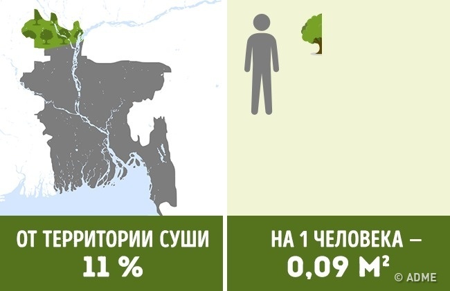 Блог - Сколько деревьев приходится на душу населения в разных странах мира Сколько деревьев приходится на душу населения в разных странах мира