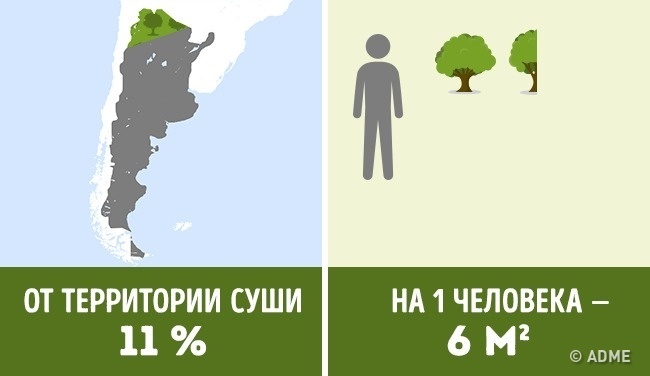 Блог - Сколько деревьев приходится на душу населения в разных странах мира Сколько деревьев приходится на душу населения в разных странах мира