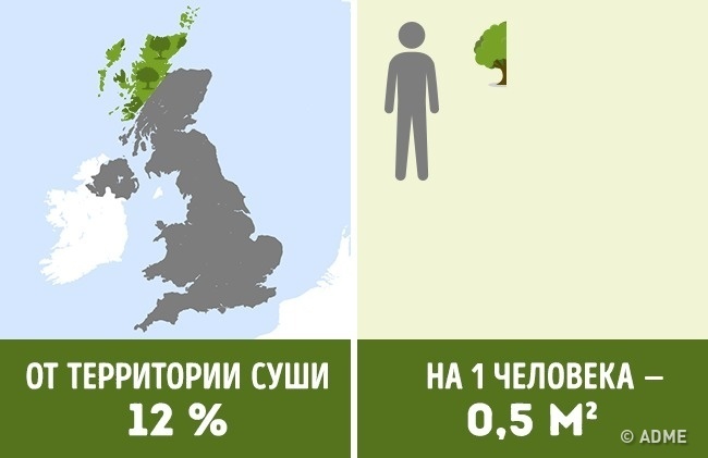 Блог - Сколько деревьев приходится на душу населения в разных странах мира Сколько деревьев приходится на душу населения в разных странах мира