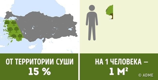 Блог - Сколько деревьев приходится на душу населения в разных странах мира Сколько деревьев приходится на душу населения в разных странах мира